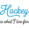 hockeyiswhat