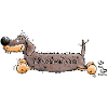 Mignon Dachshund