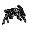 Rabbit Prince black