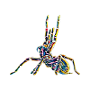 tarantula