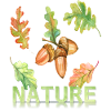 Love Nature oak leaf