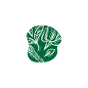 Plant Based Veggie Shirt