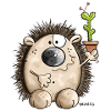 Hedgehog with cactus