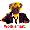 work smart pug
