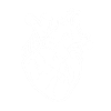 heart white