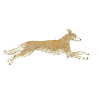 Silken Wind Sprite