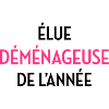 Mover Frachtführer Déménageur Déménagement