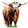 Cartoon buffalo