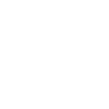 Ice Crystal Snowflake
