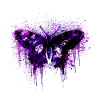 Schmetterling