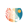 Zebra Geschenkidee