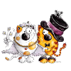 Chat mariage