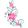 Beautiful summer flowers