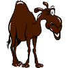 Kamel