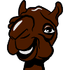 Camel laughing funny