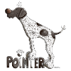 Cute German Shorthaired Pointer
