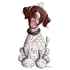 Funny German Shorthaired Pointer