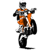 Supermoto - Supermotard - Offroad