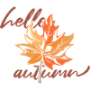 Maple leaf Mapleleaf Autumn Autumn