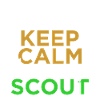 scout