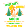 scout