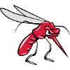 Mücke agro mosquito