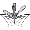 Mosquito