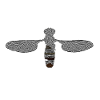 Wasp abstract