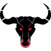 taurus_02