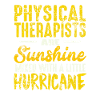 Physiotherapist saying