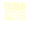 Physiotherapist
