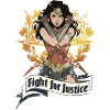 Bros Wonder Woman Fight For Justice