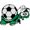 Turtle football referee