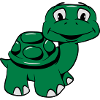 Turtle funny