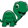 Turtle cute kids funny