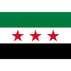 Syria Flag 2011