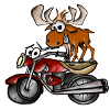 Moose on Bike