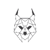 Lynx Minimalist