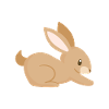 Hare