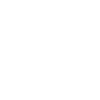 Pirate Jolly Roger