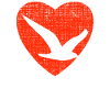 Heart For Gulls