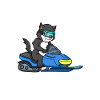 Chat motoneige hiver surf chaton