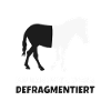 Zebra Defragmentiert - Programmierer