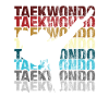 Taekwondo gift