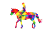 Cheval Femmes