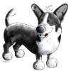 Welsh Corgi Cardigan