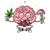 Brain Psychedelic Trip