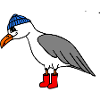 Gull