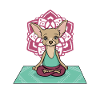 Chihuahua Yoga