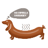 Sausage Dog